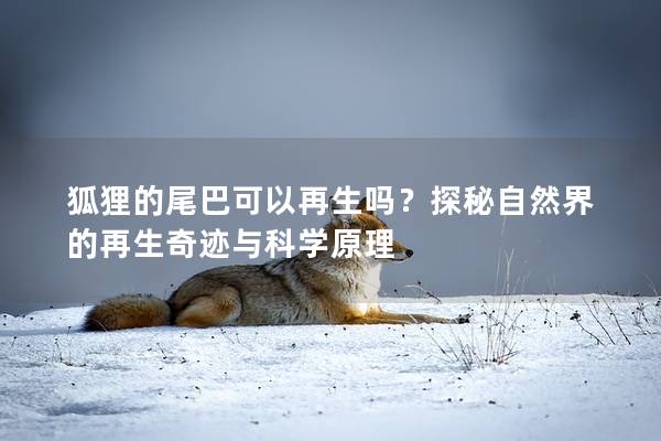 狐貍的尾巴可以再生嗎？探秘自然界的再生奇跡與科學原理